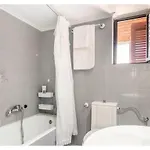 Dorita * Petrití